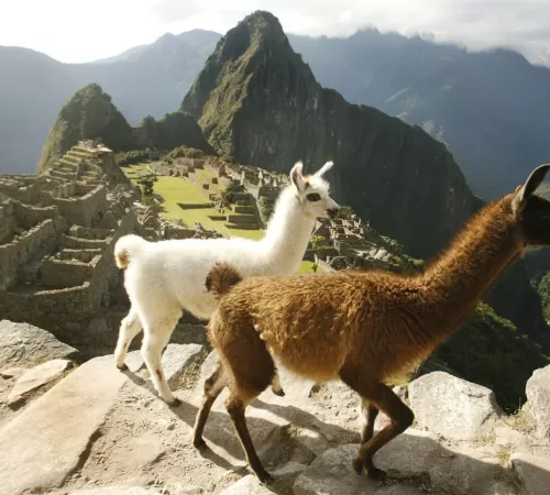 Machu Picchu Travel Package | Peruvian Sunrise