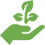 Environmentally friendly | Peruvian Sunrise Environmentally friendly | Peruvian Sunrise
